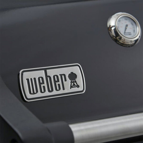 Газовый гриль Weber Spirit E-325 S GBS